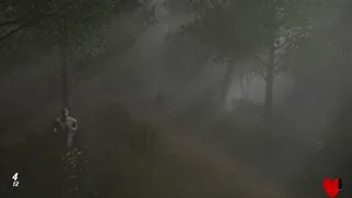 Скриншот 7 к игре Hanefield Asylum