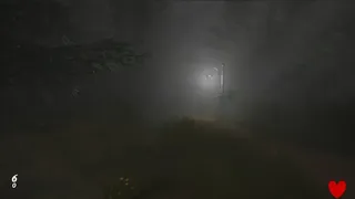 Скриншот 8 к игре Hanefield Asylum