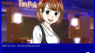 Скриншот 3 к игре TinyPoker