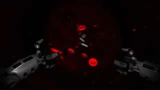 Скриншот 1 к игре Intra Corpus