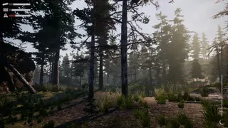 Скриншот 5 к игре Before Nightfall: Summertime