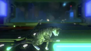 Скриншот 1 к игре Neon Cyborg Cat Club