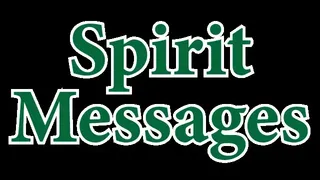 Скриншот 5 к игре Spirit Messages