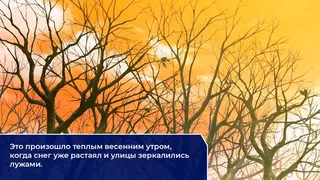 Скриншот 3 к игре Коридоры их воспоминаний
