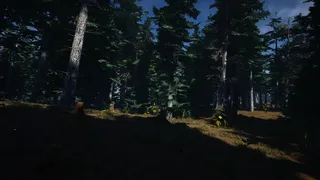 Скриншот 5 к игре Mushroom Picker Simulator