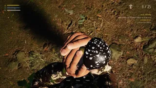 Скриншот 7 к игре Mushroom Picker Simulator
