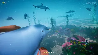 Скриншот 1 к игре Dolphin Trainer VR