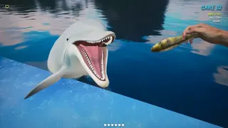 Скриншот 3 к игре Dolphin Trainer VR