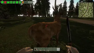 Скриншот 5 к игре The Survivor
