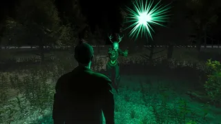 Скриншот 6 к игре The Evil in the Forest