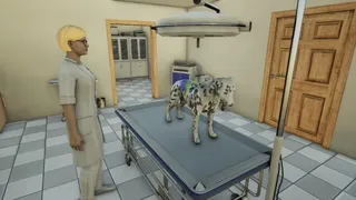 Скриншот 2 к игре Animal Doctor