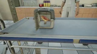 Скриншот 7 к игре Animal Doctor