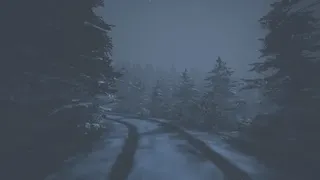 Скриншот 5 к игре Raven's Point