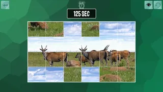 Скриншот 3 к игре Easy puzzle: Animals 2