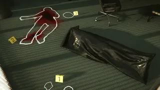 Скриншот 5 к игре FBI Agent Simulator