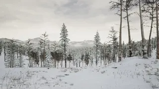 Скриншот 1 к игре Erzurum