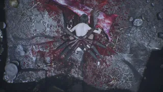 Скриншот 8 к игре Spider Queen cave