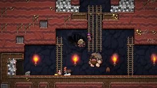 Скриншот 4 к игре Spelunky 2