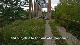 Скриншот 1 к игре The USB Stick Found in the Grass