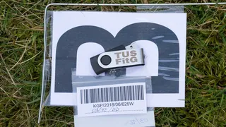 Скриншот 2 к игре The USB Stick Found in the Grass