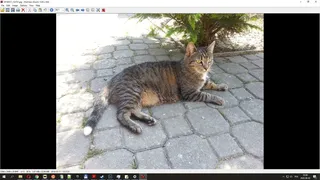 Скриншот 6 к игре The USB Stick Found in the Grass