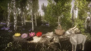 Скриншот 1 к игре Flower Challenge