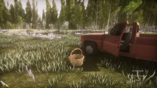 Скриншот 3 к игре Flower Challenge