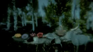Скриншот 4 к игре Flower Challenge