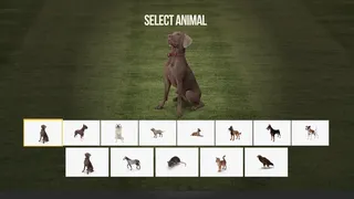 Скриншот 2 к игре Animal Trainer