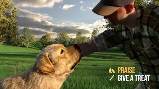 Скриншот 3 к игре Animal Trainer