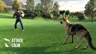 Скриншот 4 к игре Animal Trainer