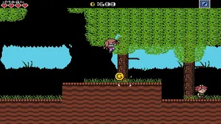 Скриншот 4 к игре Arcanion: Tale of Magi
