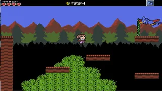 Скриншот 5 к игре Arcanion: Tale of Magi