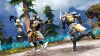 Скриншот 16 к игре Guild Wars 2