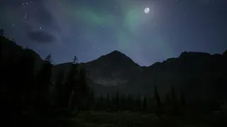 Скриншот 3 к игре Wilderness