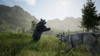 Скриншот 4 к игре Wilderness
