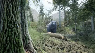 Скриншот 5 к игре Wilderness