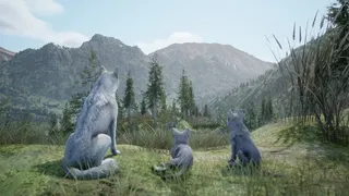 Скриншот 6 к игре Wilderness