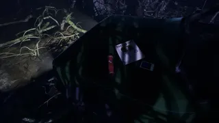 Скриншот 1 к игре Agoraphobia
