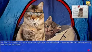 Скриншот 4 к игре Cat President 2: Purrlitical Revolution