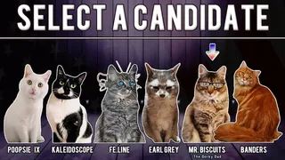 Скриншот 7 к игре Cat President 2: Purrlitical Revolution