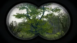 Скриншот 3 к игре Birding Simulator: Bird Photographer