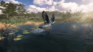 Скриншот 7 к игре Birding Simulator: Bird Photographer