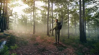 Скриншот 8 к игре Birding Simulator: Bird Photographer