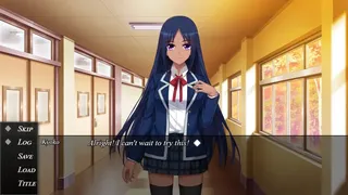 Скриншот 5 к игре High School of Memories