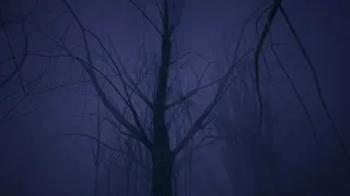 Скриншот 4 к игре Prototype Zordi Mi lé
