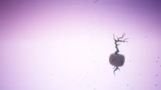 Скриншот 8 к игре Underponder