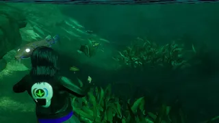 Скриншот 1 к игре Beyond The Shadow