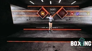Скриншот 8 к игре Boxing Coach