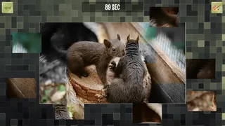 Скриншот 2 к игре Good puzzle: Animals